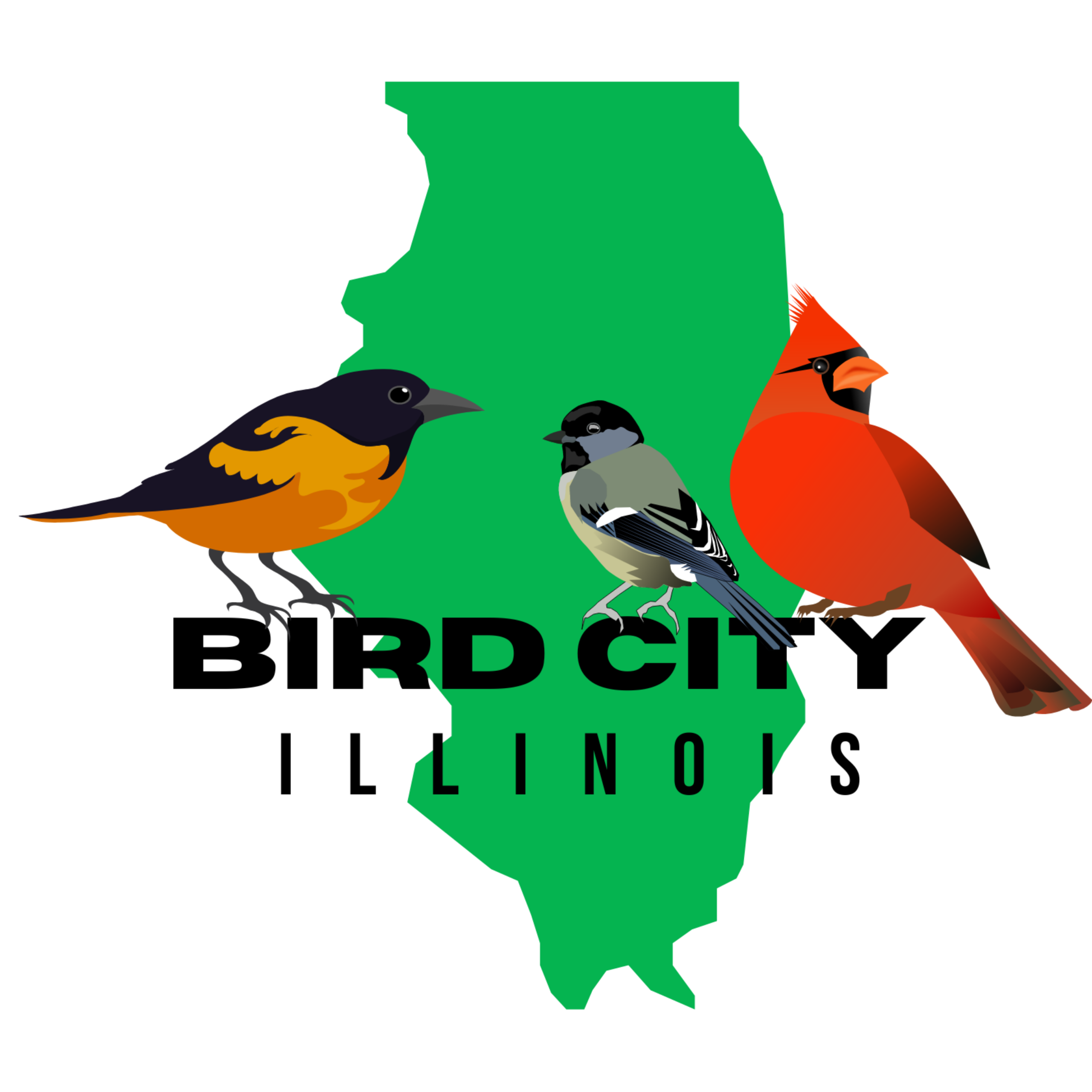 Bird City Illinois logo with shape of Illinois in green, wording, and three birds