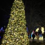 IMG_0185